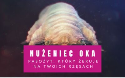 Nużeniec Oka – Pasożyt, Który Żeruje Na Twoich Rzęsach